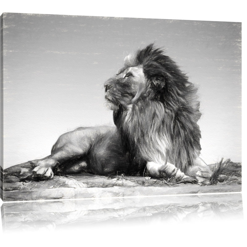 East Urban Home Leinwandbild Liegender Löwe in Schwarz/Weiß | Wayfair.de